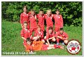 Trosvik IF LG12-Rod